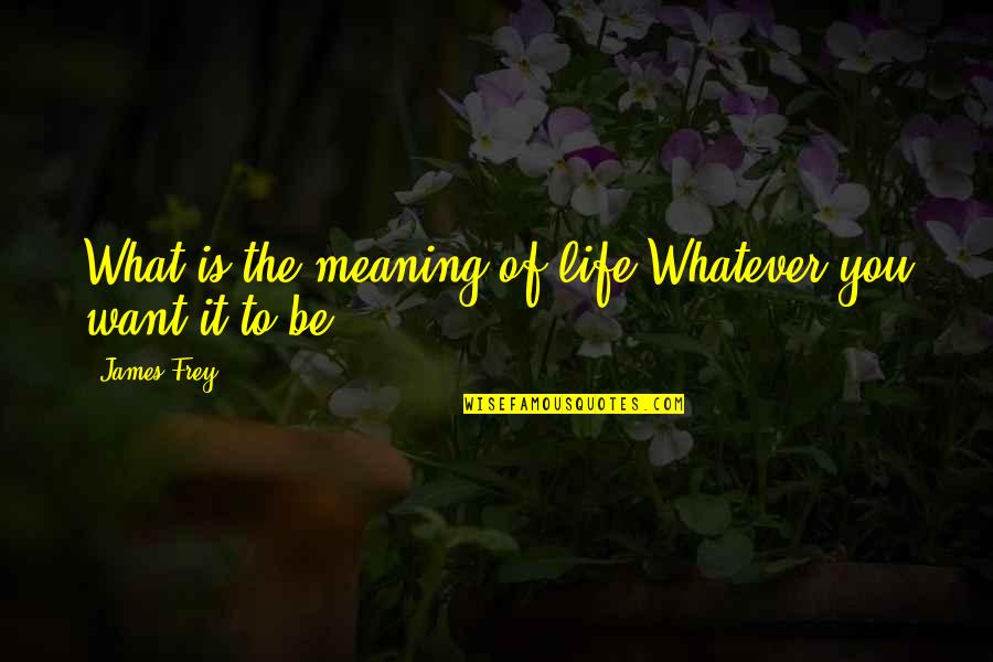 Infineon Quotes By James Frey: What is the meaning of life?Whatever you want