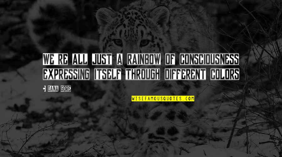 Infinite Bliss Quotes By Dana Gore: We're all just a rainbow of consciousness expressing
