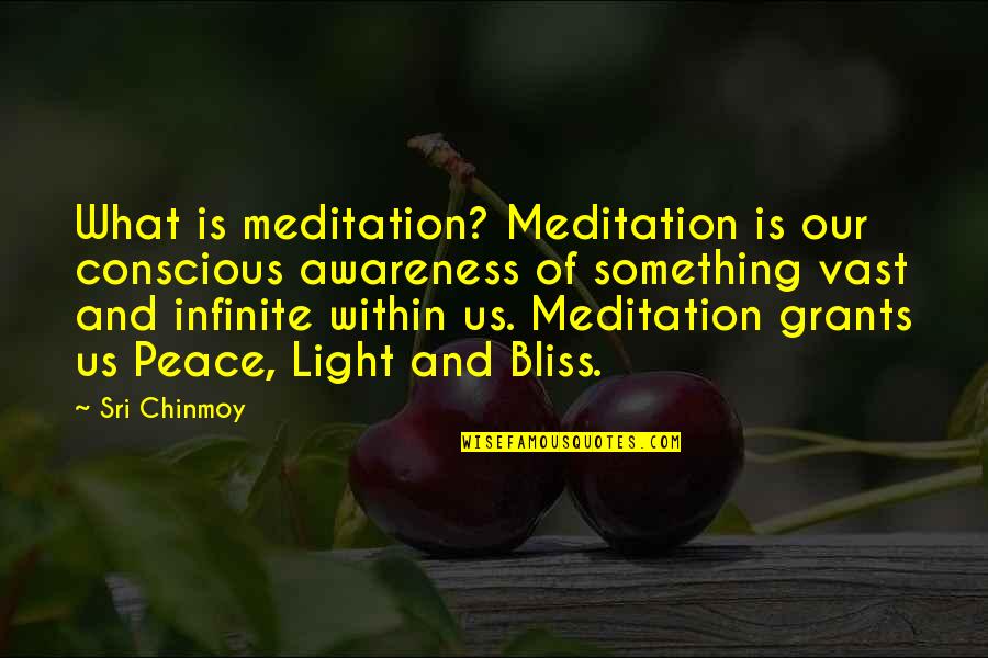 Infinite Bliss Quotes By Sri Chinmoy: What is meditation? Meditation is our conscious awareness Infinite Bliss Quotes By Sri Chinmoy: What is meditation? Meditation is our conscious awareness
