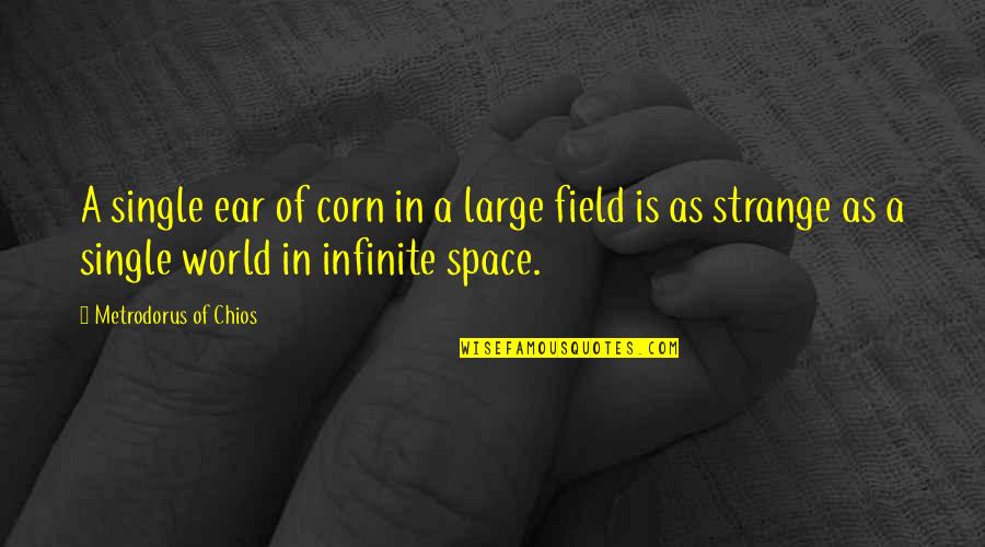 Infinite World Quotes By Metrodorus Of Chios: A single ear of corn in a large