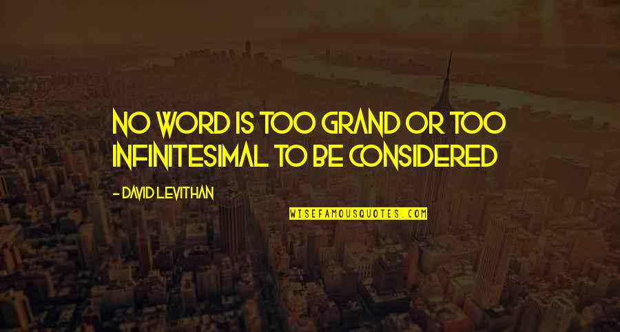 Infinitesimal Quotes By David Levithan: No word is too grand or too infinitesimal