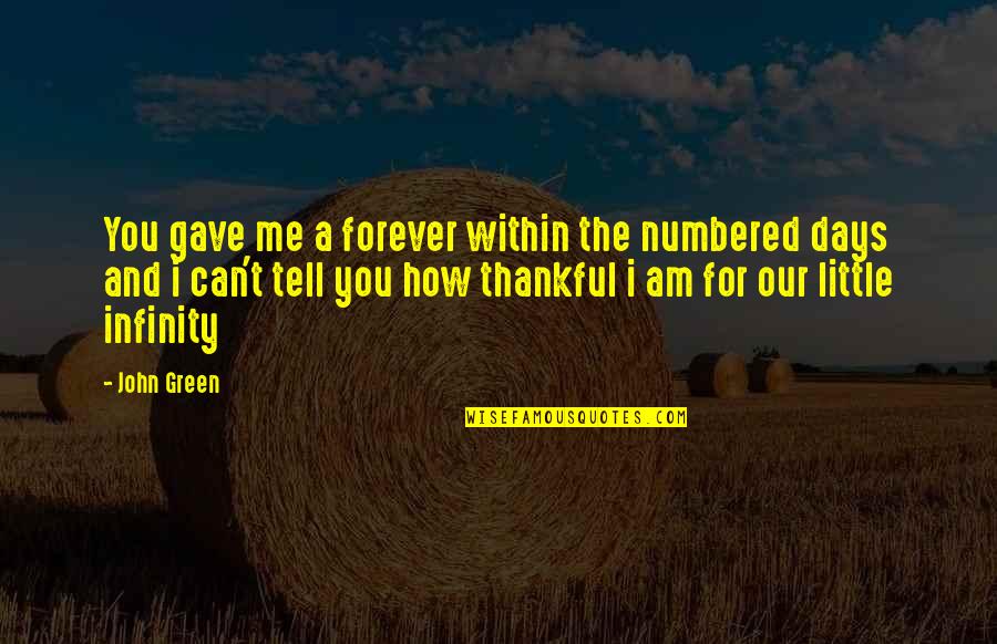 Infinity From The Fault In Our Stars Quotes By John Green: You gave me a forever within the numbered