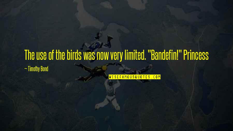 Infinity Quotes Quotes By Timothy Bond: The use of the birds was now very