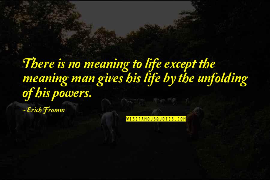 Inflamaveis Quotes By Erich Fromm: There is no meaning to life except the