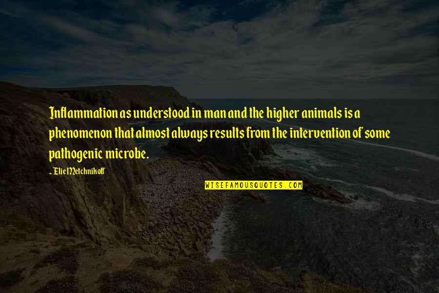 Inflammation Quotes By Elie Metchnikoff: Inflammation as understood in man and the higher