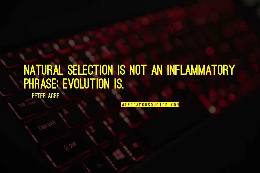 Inflammatory Quotes By Peter Agre: Natural selection is not an inflammatory phrase; evolution