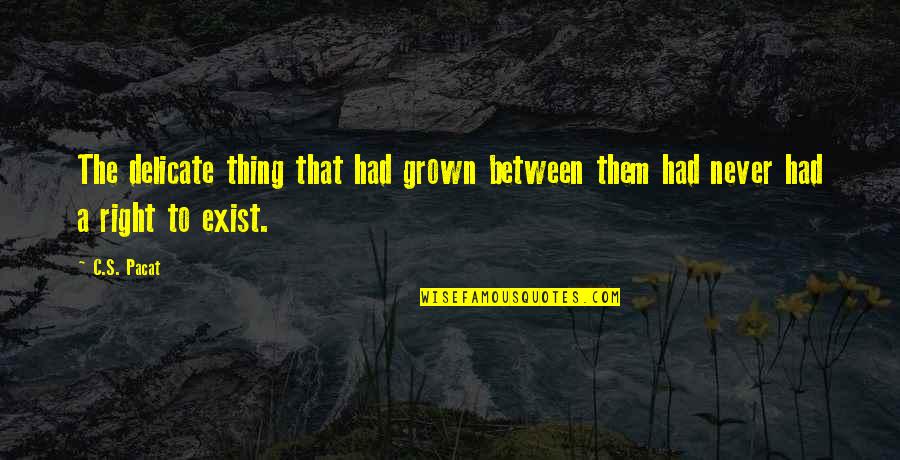 Inflation Adjusted Annuity Quotes By C.S. Pacat: The delicate thing that had grown between them