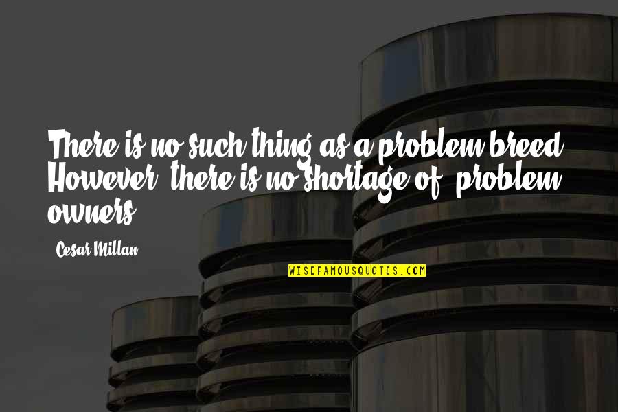 Inflationism Quotes By Cesar Millan: There is no such thing as a problem