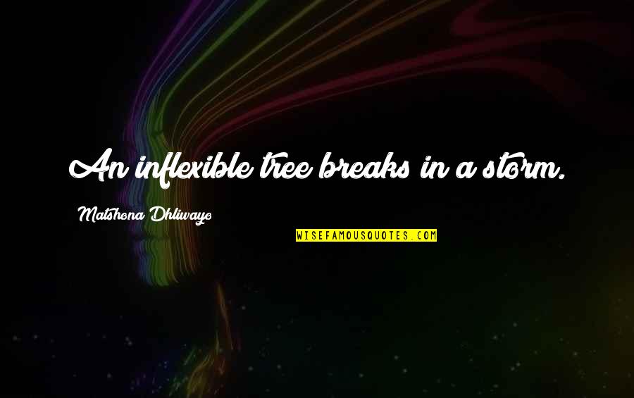 Inflexible Quotes By Matshona Dhliwayo: An inflexible tree breaks in a storm.