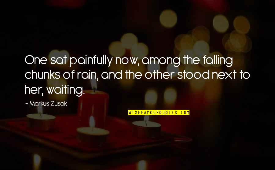 Inflicted Pain Quotes By Markus Zusak: One sat painfully now, among the falling chunks