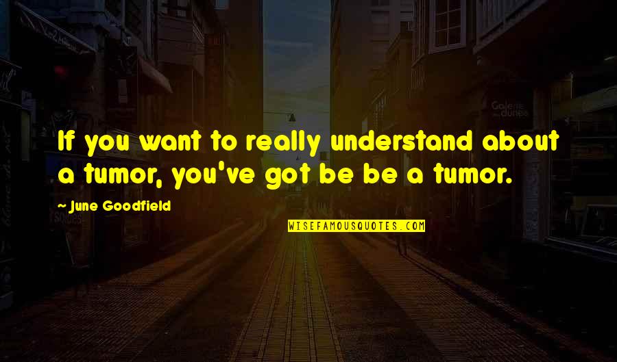 Inflicting Pain On Yourself Quotes By June Goodfield: If you want to really understand about a