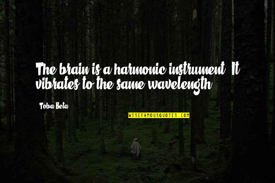 Infligidos Quotes By Toba Beta: The brain is a harmonic instrument. It vibrates