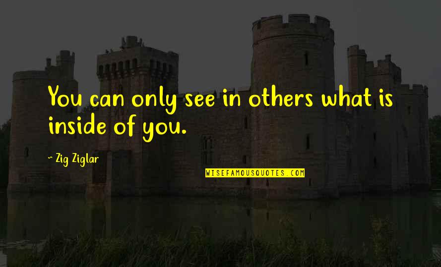 Influencias Culturales Quotes By Zig Ziglar: You can only see in others what is