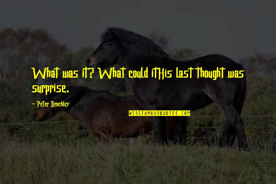 Influential Quotes By Peter Benchley: What was it? What could itHis last thought