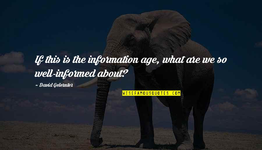 Information Age Quotes By David Gelernter: If this is the information age, what are