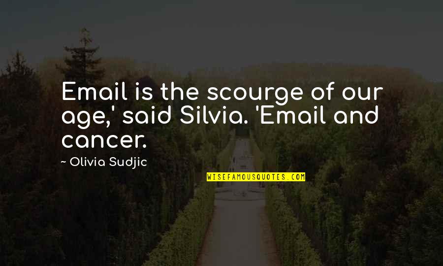 Information Age Quotes By Olivia Sudjic: Email is the scourge of our age,' said