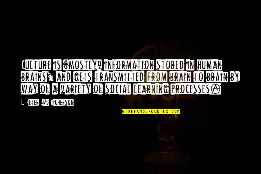 Information Of Quotes By Peter J. Richerson: Culture is (mostly) information stored in human brains,