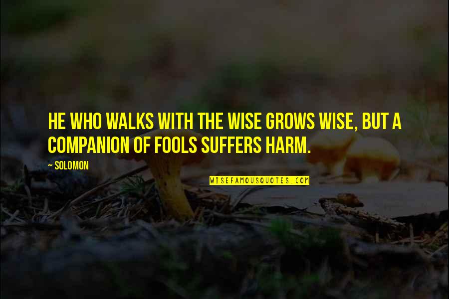 Information Of The Sun Quotes By Solomon: He who walks with the wise grows wise,