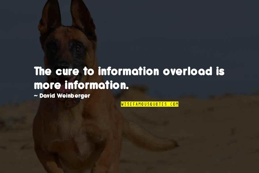 Information Overload Quotes By David Weinberger: The cure to information overload is more information.