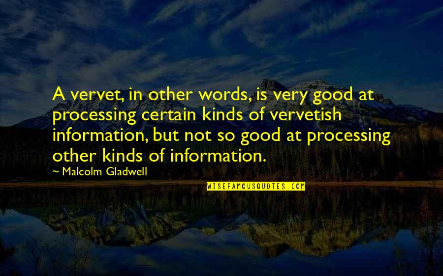 Information Processing Quotes By Malcolm Gladwell: A vervet, in other words, is very good