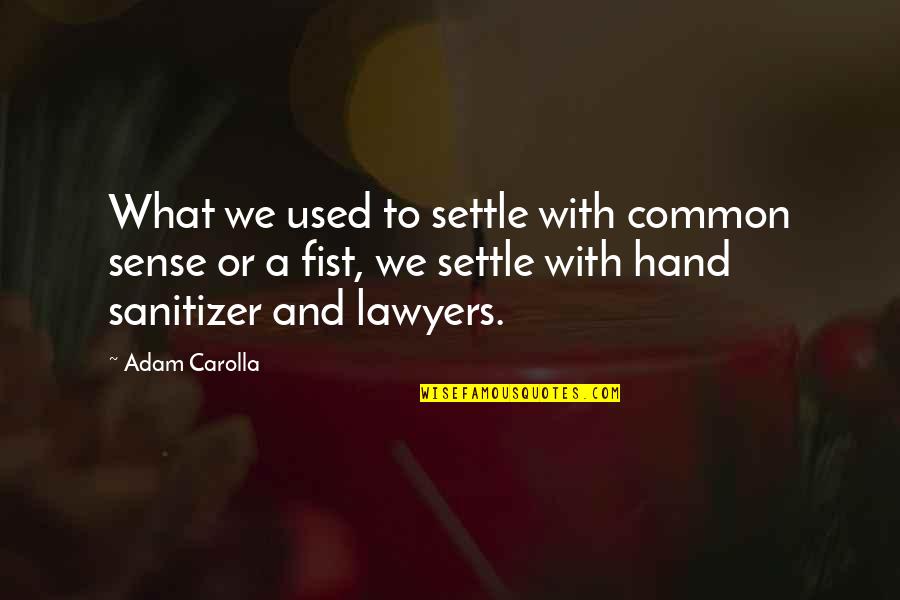 Informative Speech Quotes By Adam Carolla: What we used to settle with common sense