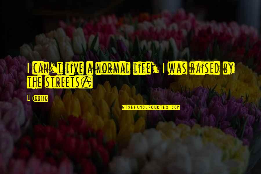 Infosys Sudha Murthy Quotes By Coolio: I can't live a normal life, I was
