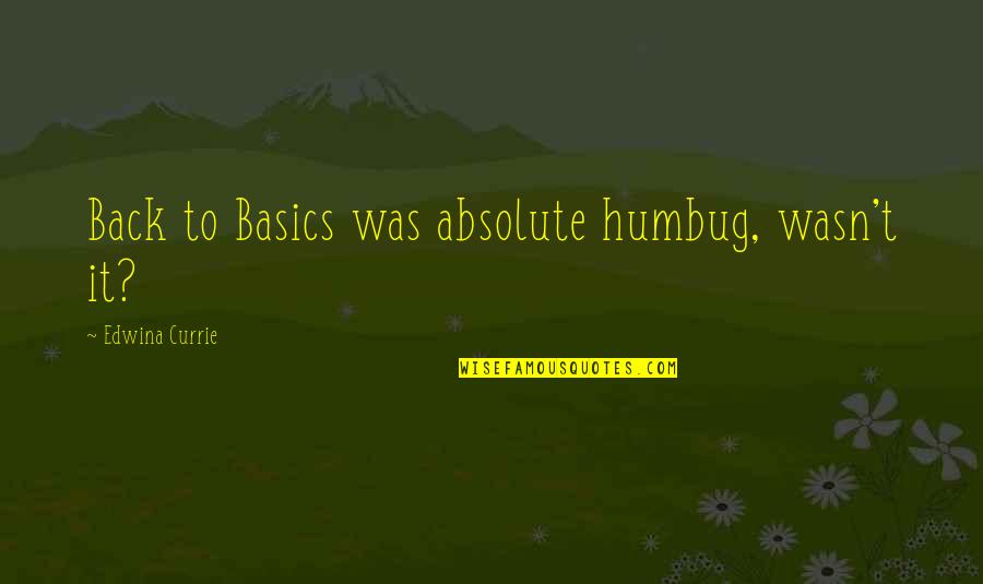 Infractions Def Quotes By Edwina Currie: Back to Basics was absolute humbug, wasn't it?