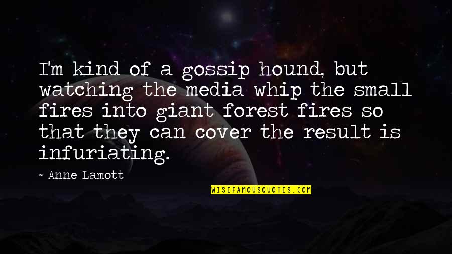 Infuriating Quotes By Anne Lamott: I'm kind of a gossip hound, but watching