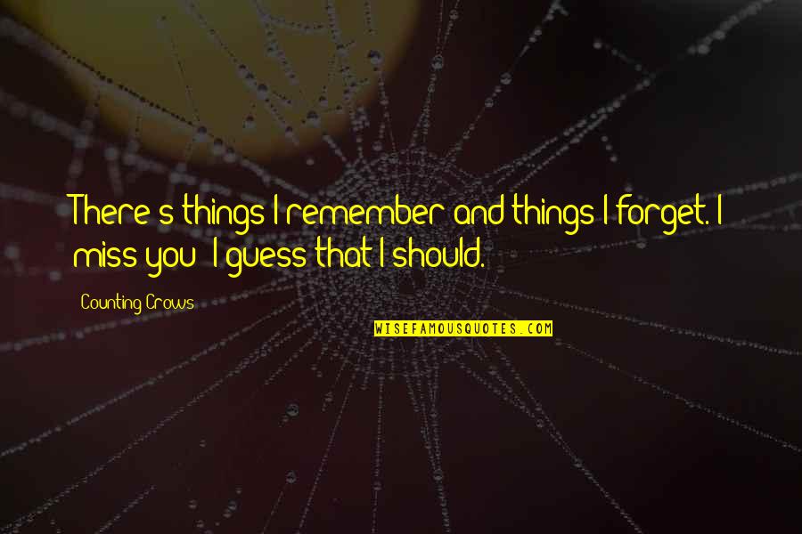 Ingeniquest Quotes By Counting Crows: There's things I remember and things I forget.