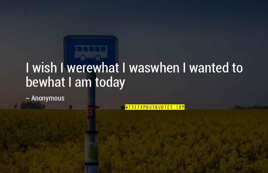 Ingenito Definicion Quotes By Anonymous: I wish I werewhat I waswhen I wanted