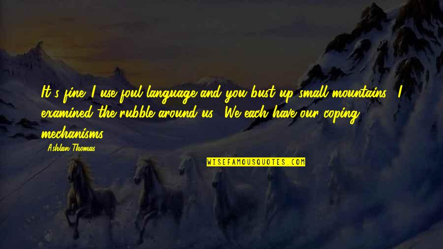 Ingenuidade Significado Quotes By Ashlan Thomas: It's fine. I use foul language and you