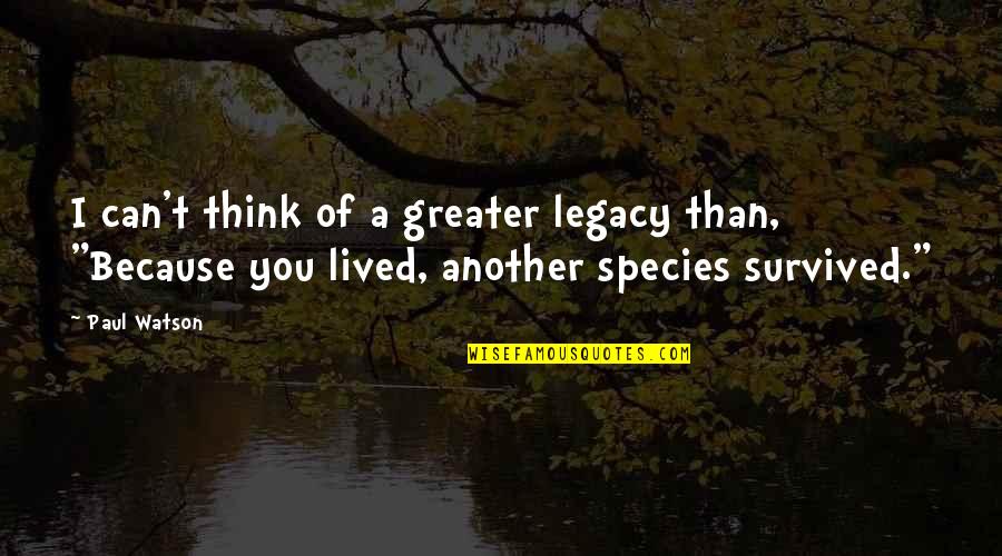 Ingenuousness Crossword Quotes By Paul Watson: I can't think of a greater legacy than,