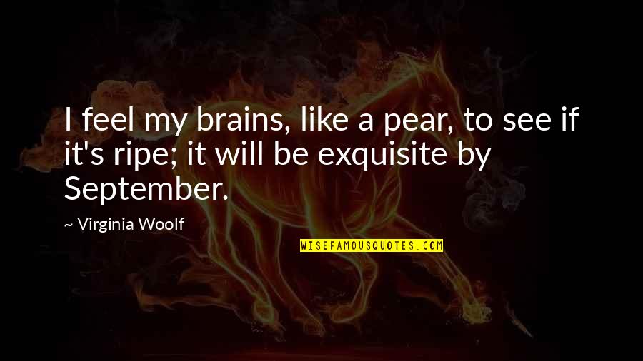 Ingerslev Sv Mmehal Quotes By Virginia Woolf: I feel my brains, like a pear, to