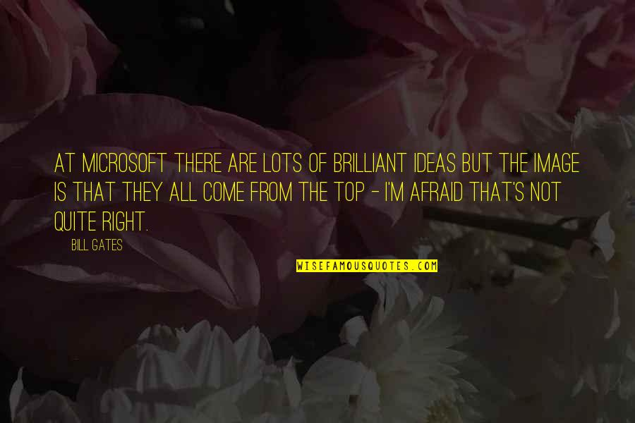 Inggit Quotes By Bill Gates: At Microsoft there are lots of brilliant ideas