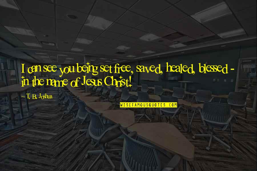 Ingjerd Sandven Quotes By T. B. Joshua: I can see you being set free, saved,