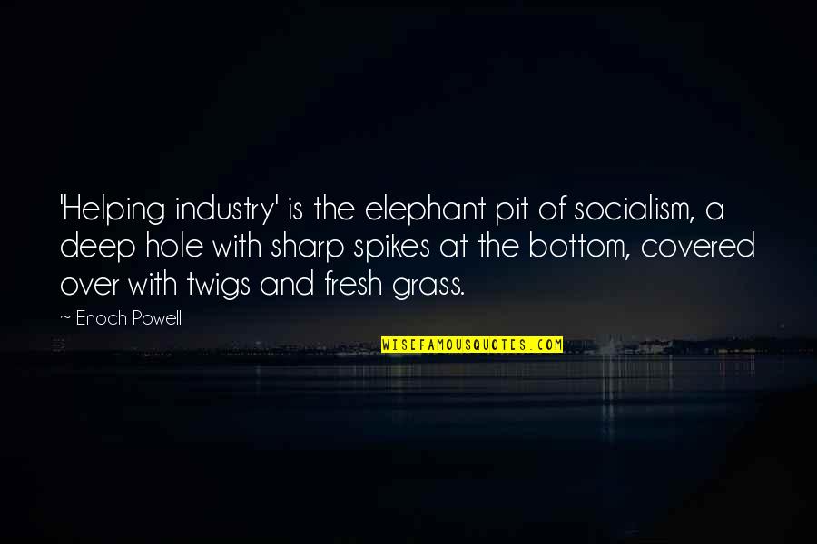 Ingledew Shoes Quotes By Enoch Powell: 'Helping industry' is the elephant pit of socialism, Ingledew Shoes Quotes By Enoch Powell: 'Helping industry' is the elephant pit of socialism,