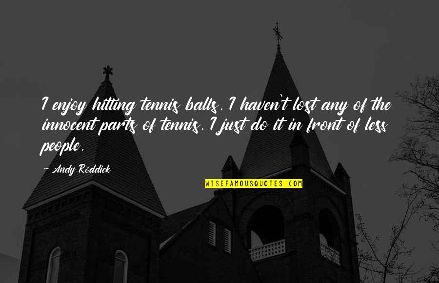 Inglese Architecture Quotes By Andy Roddick: I enjoy hitting tennis balls. I haven't lost