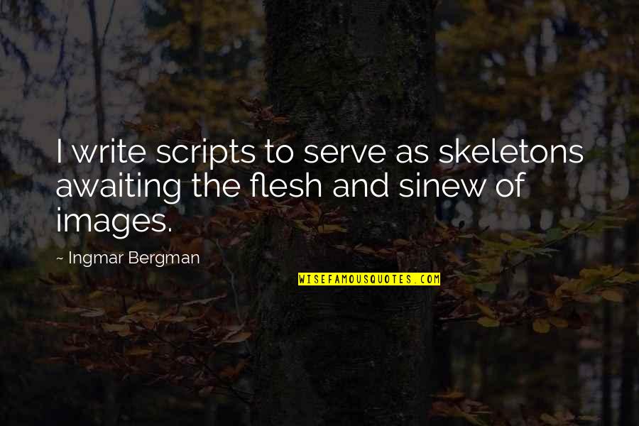 Ingmar Quotes By Ingmar Bergman: I write scripts to serve as skeletons awaiting