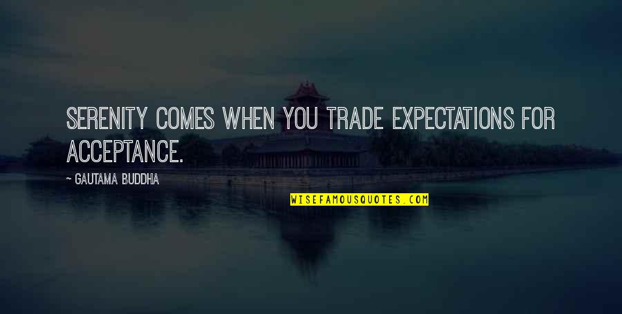 Ingot And Err Quotes By Gautama Buddha: Serenity comes when you trade expectations for acceptance.