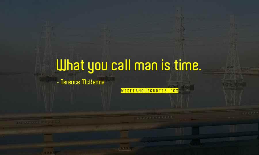 Ingrained Chicago Quotes By Terence McKenna: What you call man is time.