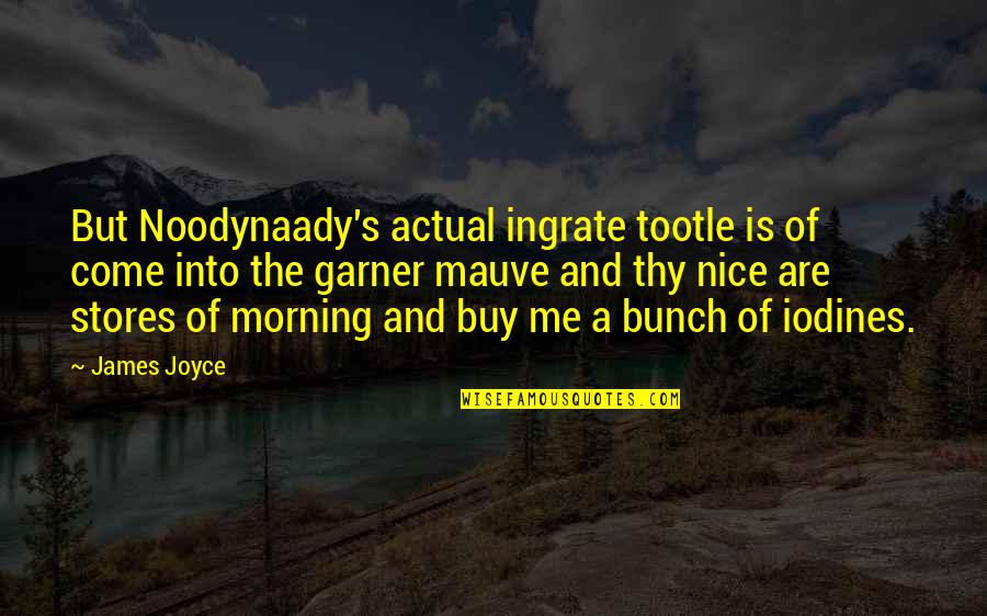 Ingrate Quotes By James Joyce: But Noodynaady's actual ingrate tootle is of come