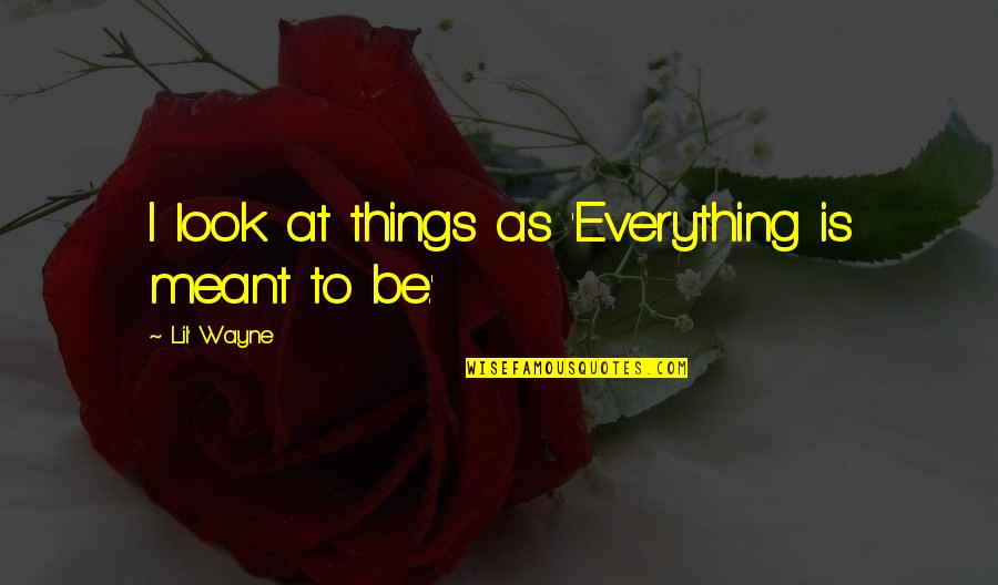 Ingratiate Quotes By Lil' Wayne: I look at things as 'Everything is meant
