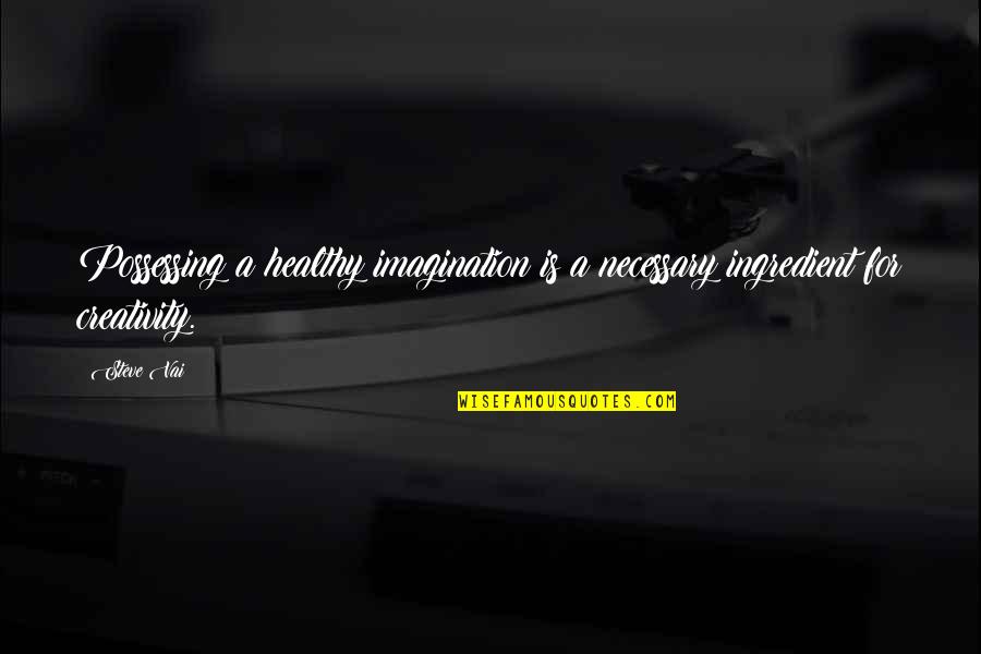 Ingredient Quotes By Steve Vai: Possessing a healthy imagination is a necessary ingredient