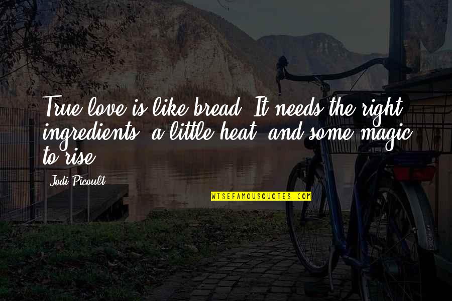 Ingredients Of Love Quotes By Jodi Picoult: True love is like bread. It needs the