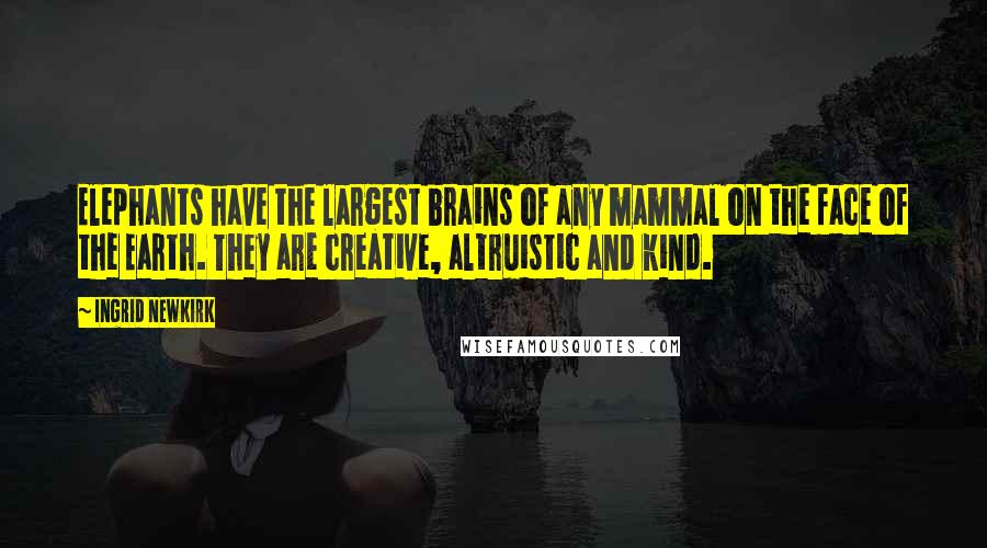 Ingrid Newkirk quotes: Elephants have the largest brains of any mammal on the face of the Earth. They are creative, altruistic and kind.