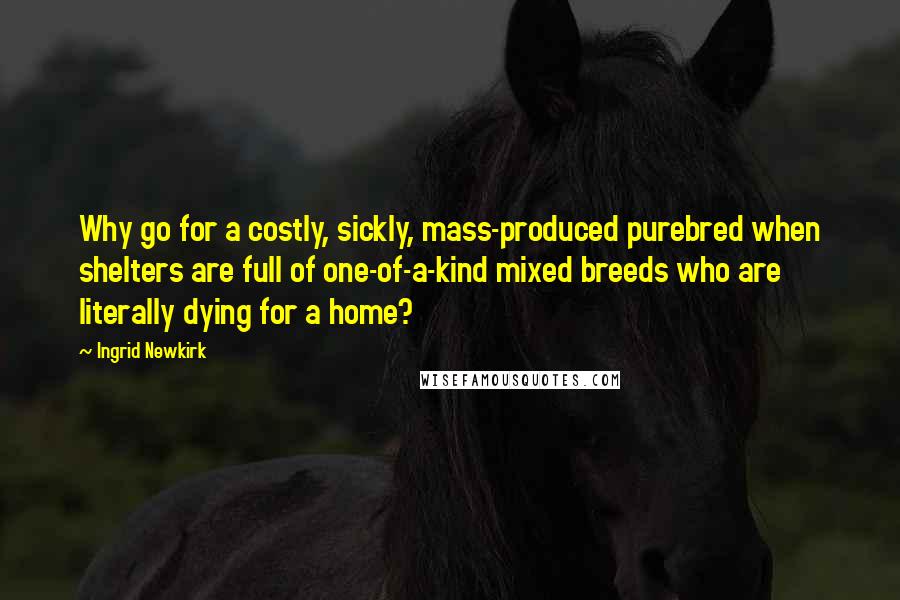 Ingrid Newkirk quotes: Why go for a costly, sickly, mass-produced purebred when shelters are full of one-of-a-kind mixed breeds who are literally dying for a home?
