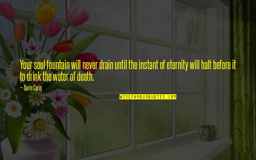 Ingstad Radio Quotes By Sorin Cerin: Your soul fountain will never drain until the