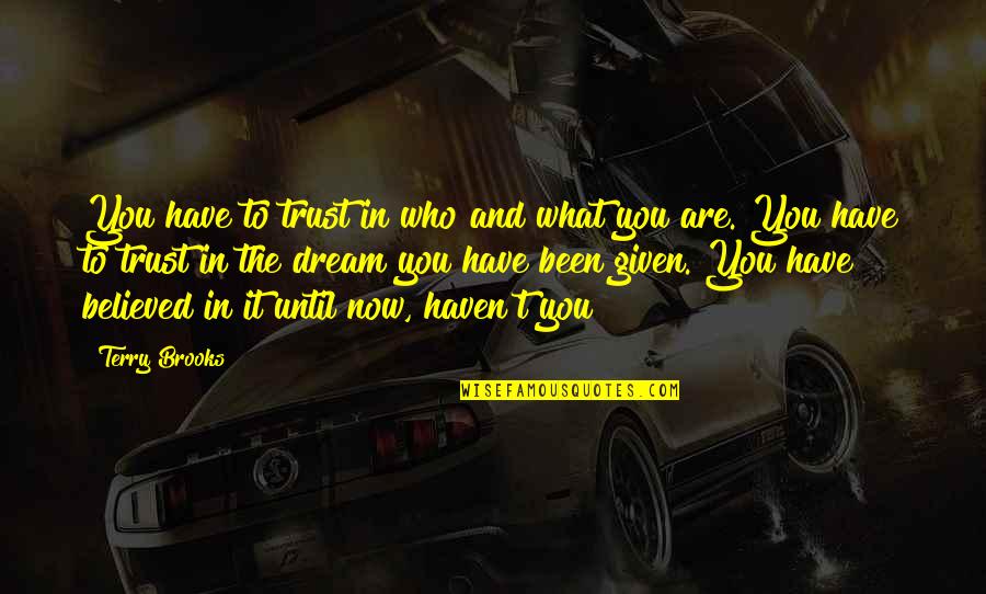 Inhalaciones Quotes By Terry Brooks: You have to trust in who and what Inhalaciones Quotes By Terry Brooks: You have to trust in who and what