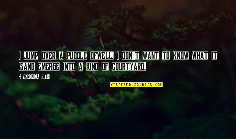 Inheritance Greed Quotes By Veronica Roth: I jump over a puddle ofwell, I don't