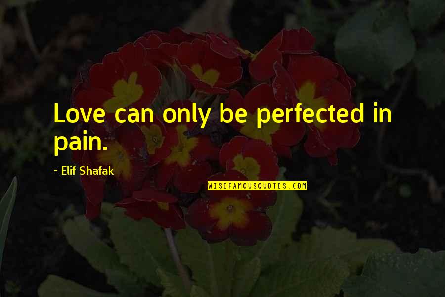 Inhibted Quotes By Elif Shafak: Love can only be perfected in pain.
